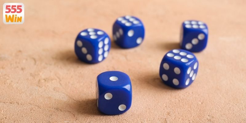 Kinh nghiệm quý báu từ các cao thủ cược lâu năm